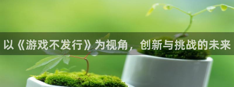 亿万28官网注册地址在哪里查询：以《游戏不发行》为视角，创新与挑战的未来