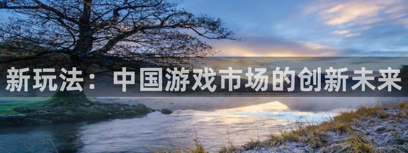 亿万28官网客服服务怎么样：新玩法：中国游戏市场的创新未来