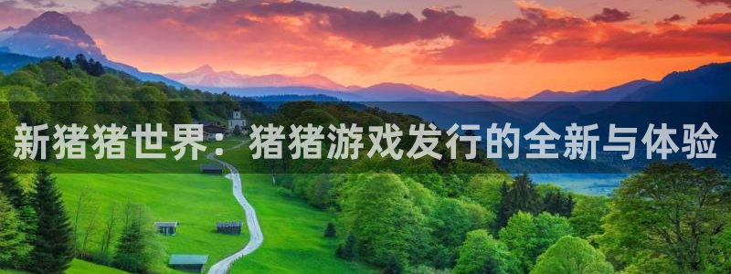 亿万28香烟图片：新猪猪世界：猪猪游戏发行的全新与体验