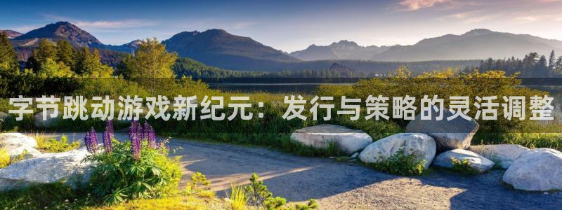 亿万28子经理人：字节跳动游戏新纪元：发行与策略的灵活调整