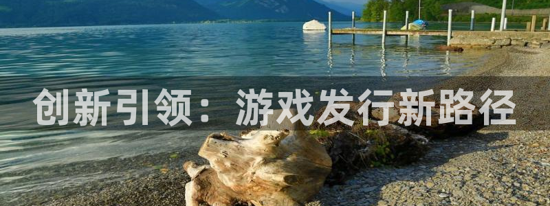 亿万28干红葡萄酒750毫升多少钱：创新引领：游戏发行新路径