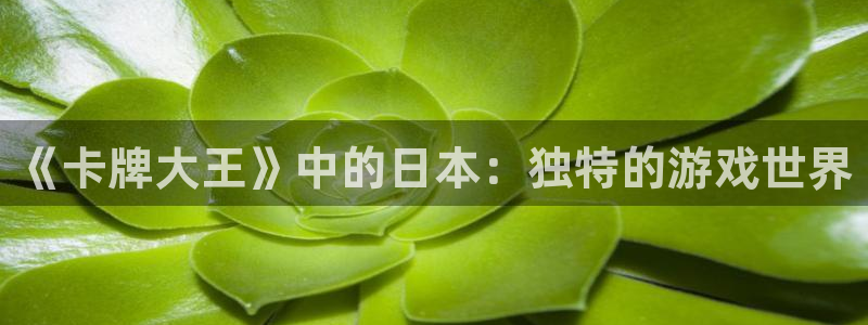 亿万28官网平台怎么样知乎：《卡牌大王》中的日本：独特的游戏世界