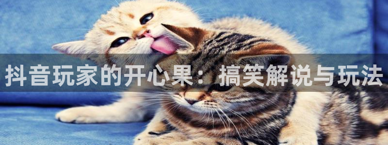 亿万28官网开户待遇：抖音玩家的开心果：搞笑解说与玩法