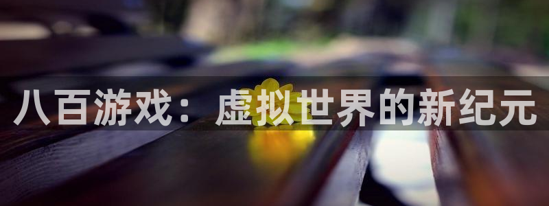亿万28服装分店有几家：八百游戏：虚拟世界的新纪元