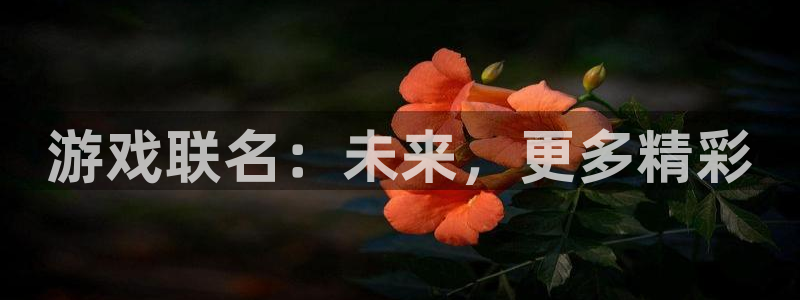 亿万28注册开户：游戏联名：未来，更多精彩