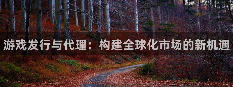 亿万28官网注册方法视频：游戏发行与代理：构建全球化市场的新机遇