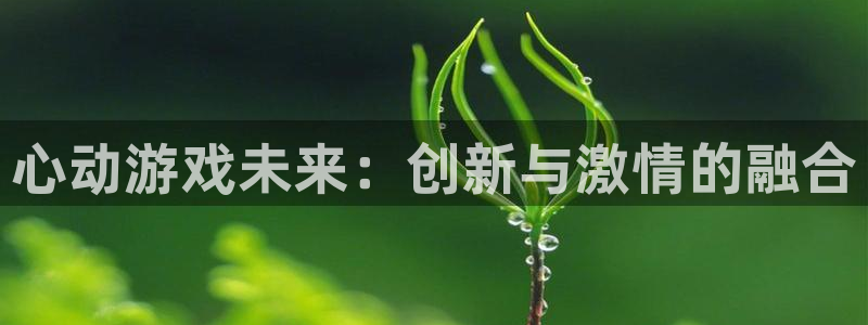 亿万28龙：心动游戏未来：创新与激情的融合