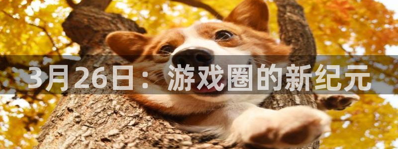 亿万28官网代理开号多少钱：3月26日：游戏圈的新纪元