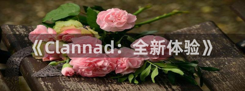 亿万28科技有限公司