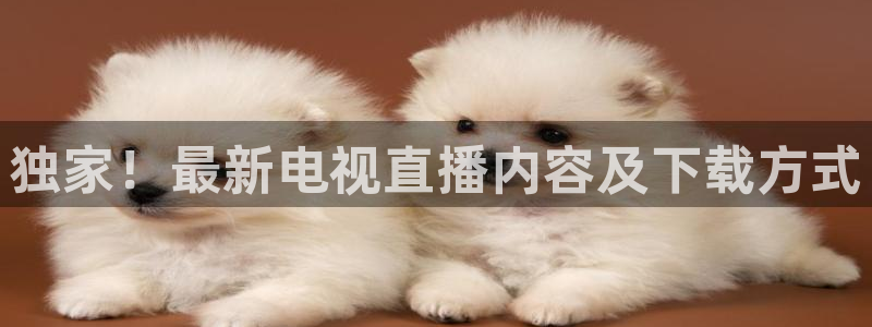 cba直播24直播：独家！最新电视直播内容及下载方式