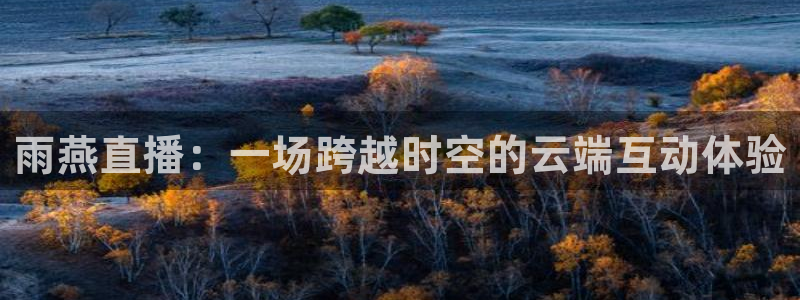 24直播网 nba直播：雨燕直播：一场跨越时空的云端互动体验