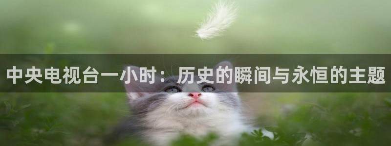 24直播网app下载：中央电视台一小时：历史的瞬间与永恒的主题
