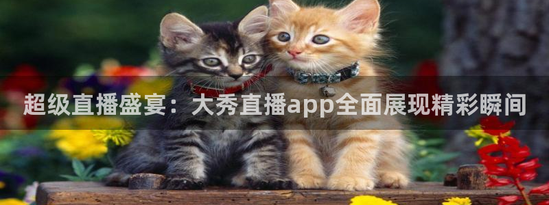 24直播网收费吗：超级直播盛宴：大秀直播app全面展现精彩瞬间